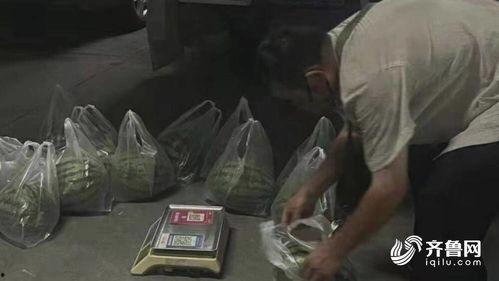 山东郓城吃瓜事件视频,一场网络热议背后的真相揭秘