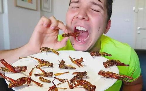 种什么瓜最招虫吃呢视频,种植时需注意防治技巧