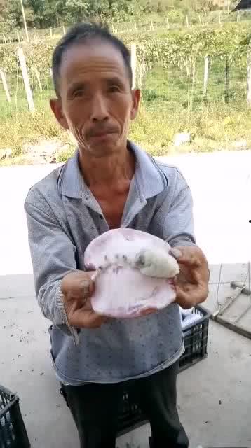 疫情期间大叔吃瓜视频,揭秘网络热点背后的故事