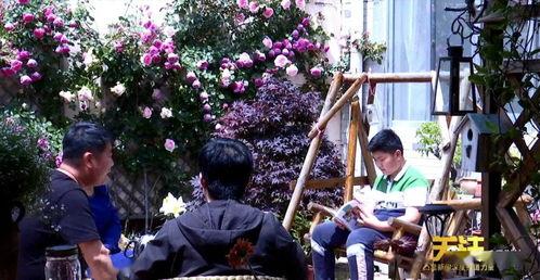 大城花店吃瓜事件真相视频,真相视频曝光背后的惊人内幕