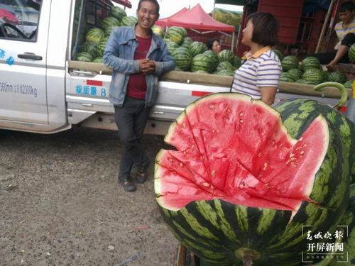 厦门市民吃瓜群众视频,吃瓜群众视频背后的社区生活剪影