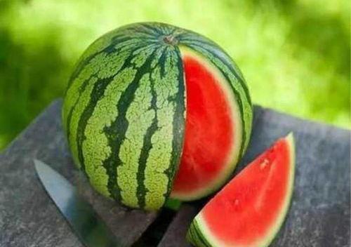 非洲网红吃瓜视频大全,趣味横生的非洲生活瞬间