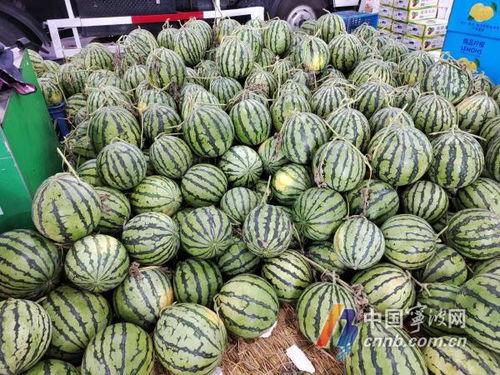 宁波小孩吃瓜视频,萌态十足引网友热议