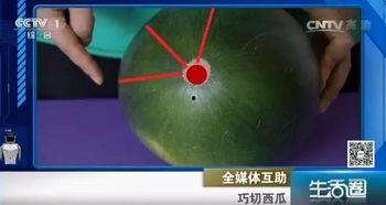 吃瓜生活圈视频,短视频中的趣味人生百态