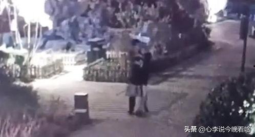 吃瓜魏县事件视频完整版