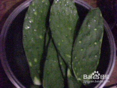 仙人掌直播间现场吃瓜视频,仙人掌吃瓜大揭秘，笑料百出！