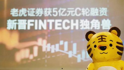 三只小老虎吃瓜群众视频,三只小老虎瓜田欢乐时光