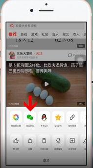 吃瓜微信视频大全最新版