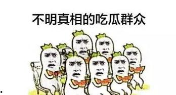 吃瓜群众不发言视频,揭秘沉默背后的真相