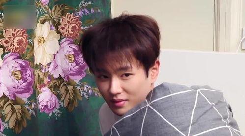 范丞丞鹿晗吃瓜视频,揭秘娱乐圈幕后真相