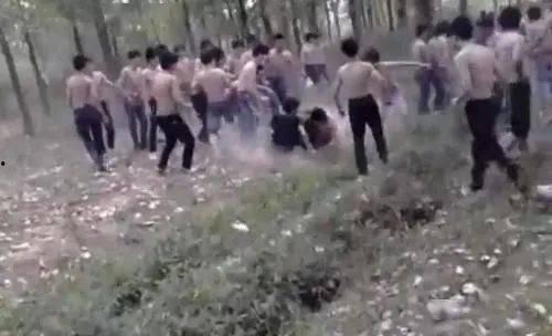 河南中学视频吃瓜,揭秘校园生活趣味瞬间