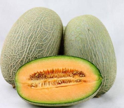 吃哈密瓜会出汗视频