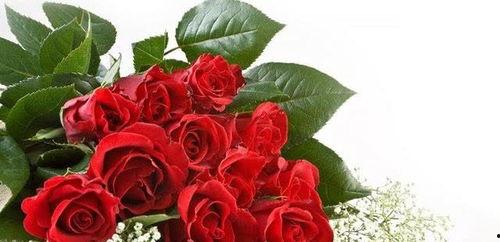 吃瓜女孩玫瑰花视频,揭秘网红幕后生活