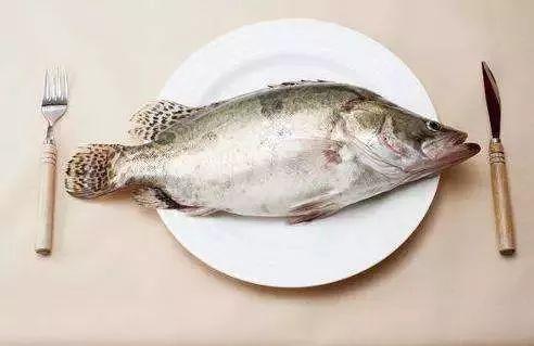 别人吃活八瓜鱼好吗视频,勇敢尝鲜者的味蕾冒险