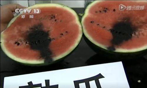 钉钉子吃瓜视频,揭秘网络热梗背后的趣味与思考